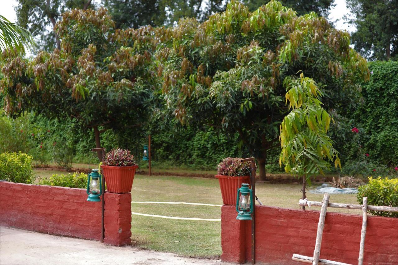 Camp Paridhi Ranthambhore, Homestay Sawai Madhopur Exterior photo